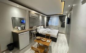 Blue Mansion Hotel & Flats